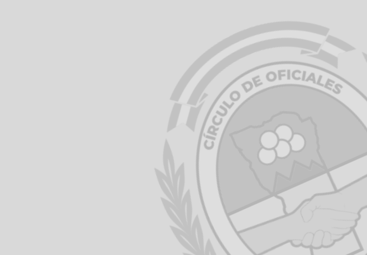Copia de Imágenes para la web